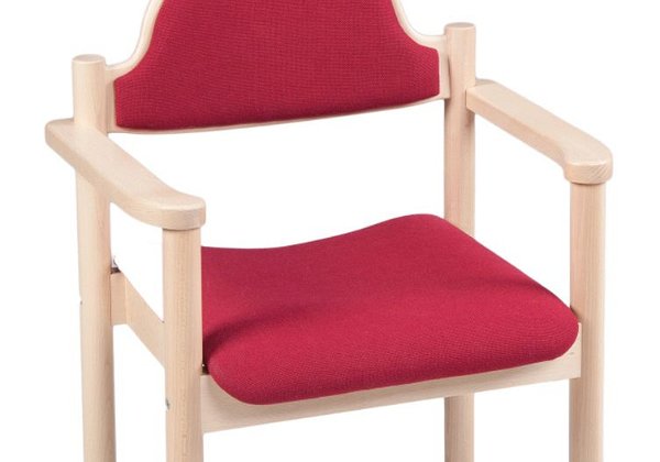 Holzstuehle_Sitz-u-Ruecken-gepolstert