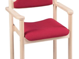 Holzstuehle_Sitz-u-Ruecken-gepolstert