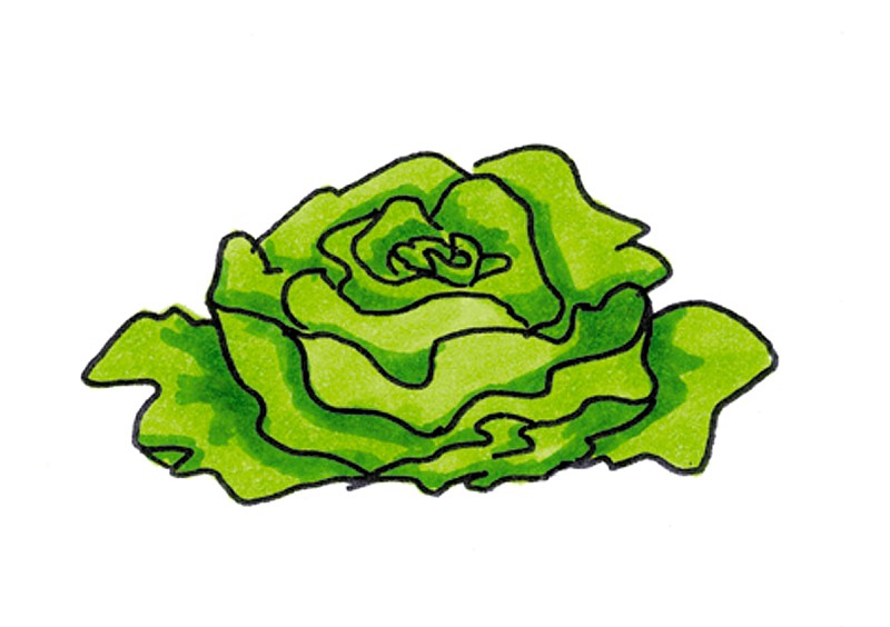 Bildkarten "In the garden"