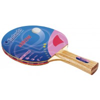 Tischtennisschläger