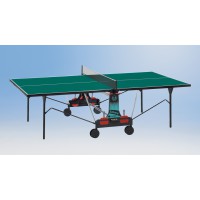 Tischtennisplatte in grün oder blau